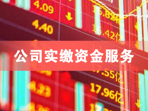 英德公司实缴资金服务