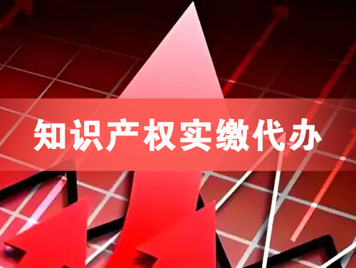 英德知识产权实缴资本代办
